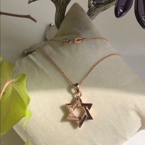 14K Rose Gold Star ⭐️ of David Necklace